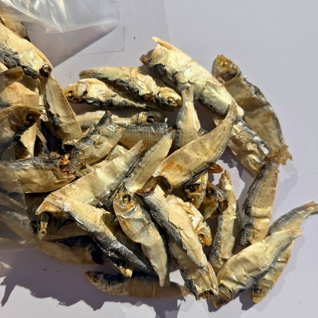 *NEW TASTE TEST* Fishoes