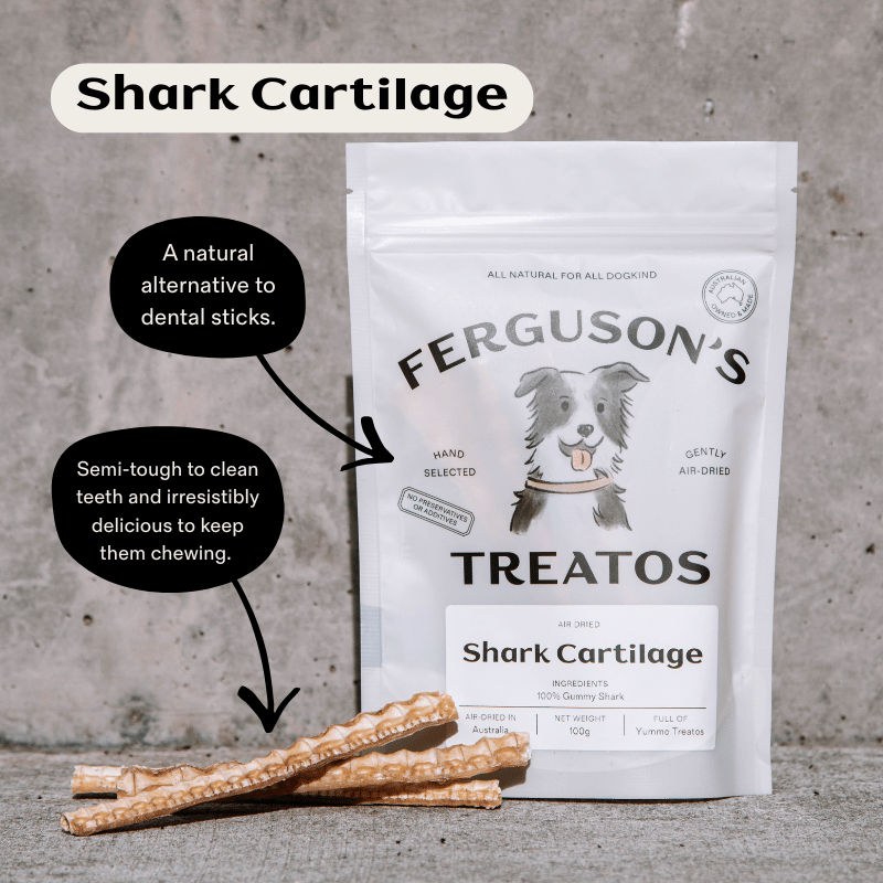 First Time Dog Treats Starter Pack