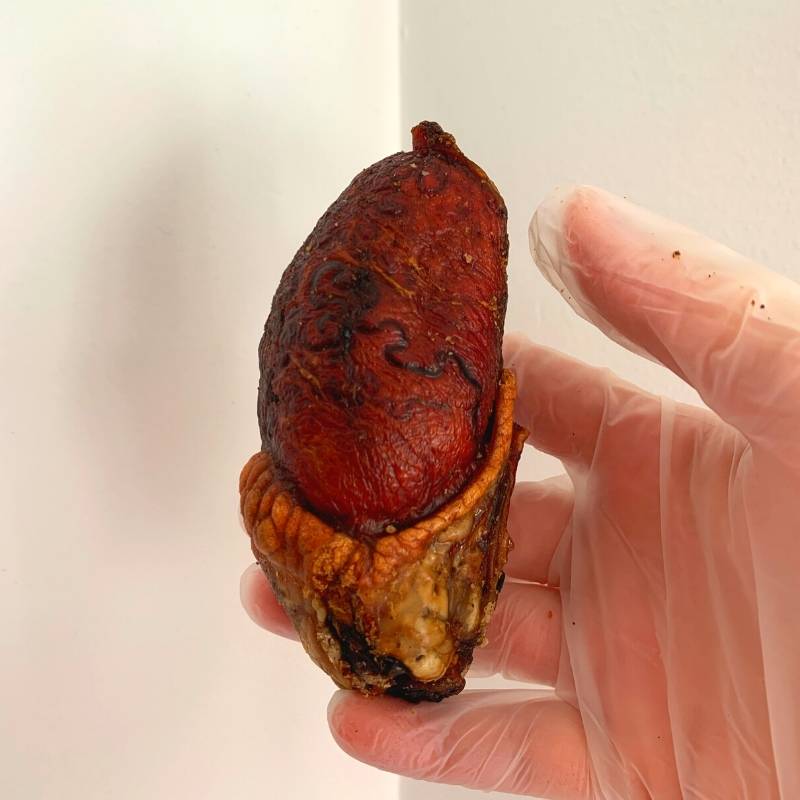 *NEW LIMITED STOCK* Bull's Balls
