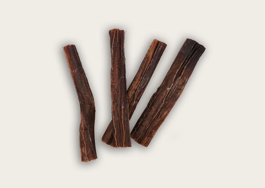 What Are Bully Sticks?