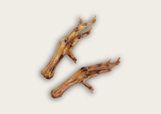 Are Chicken Feet Good for Dogs? Benefits, Uses, and Safety