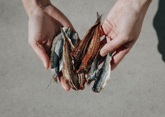How to Choose High-Quality Sardine Treats for Your Dog