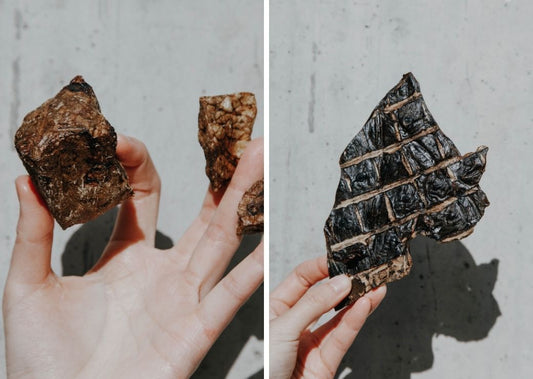 Beef Liver vs Beef Puffs – Which Training Treat Is Best?