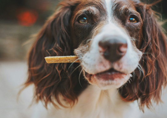 Natural vs. Non-Natural Treats