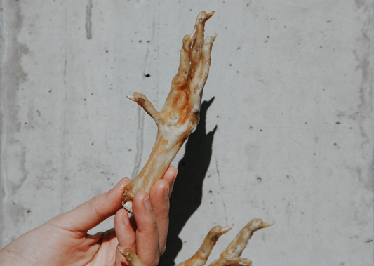 Step Up your Treat Game on the Right Foot