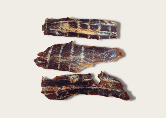 Fin-tastic Snack That Your Dog Will Absolutely Adore!
