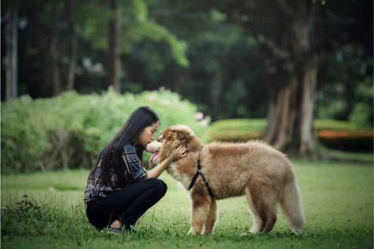 How to Tell if Your Dog Loves You
