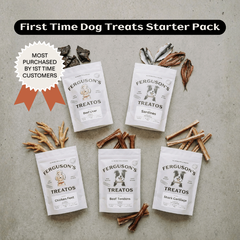 First Time Dog Treats Starter Pack