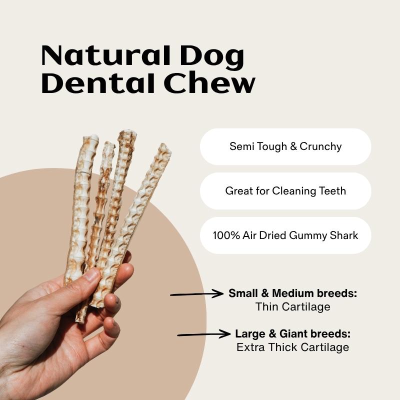 Thin Shark Cartilage Air Dried