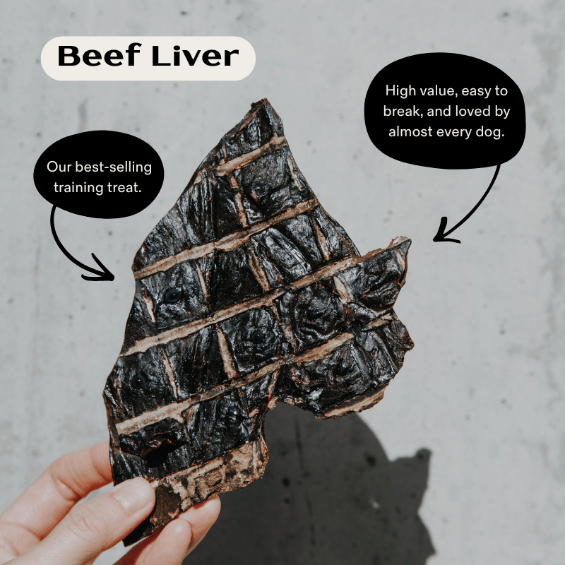 First Time Dog Treats Starter Pack