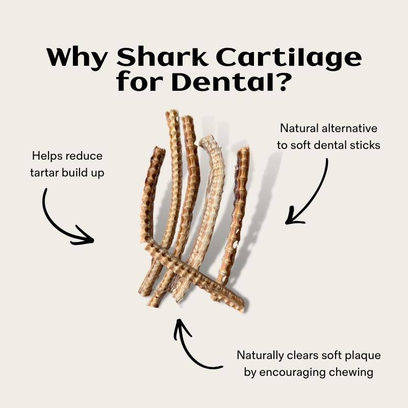 Thin Shark Cartilage Air Dried