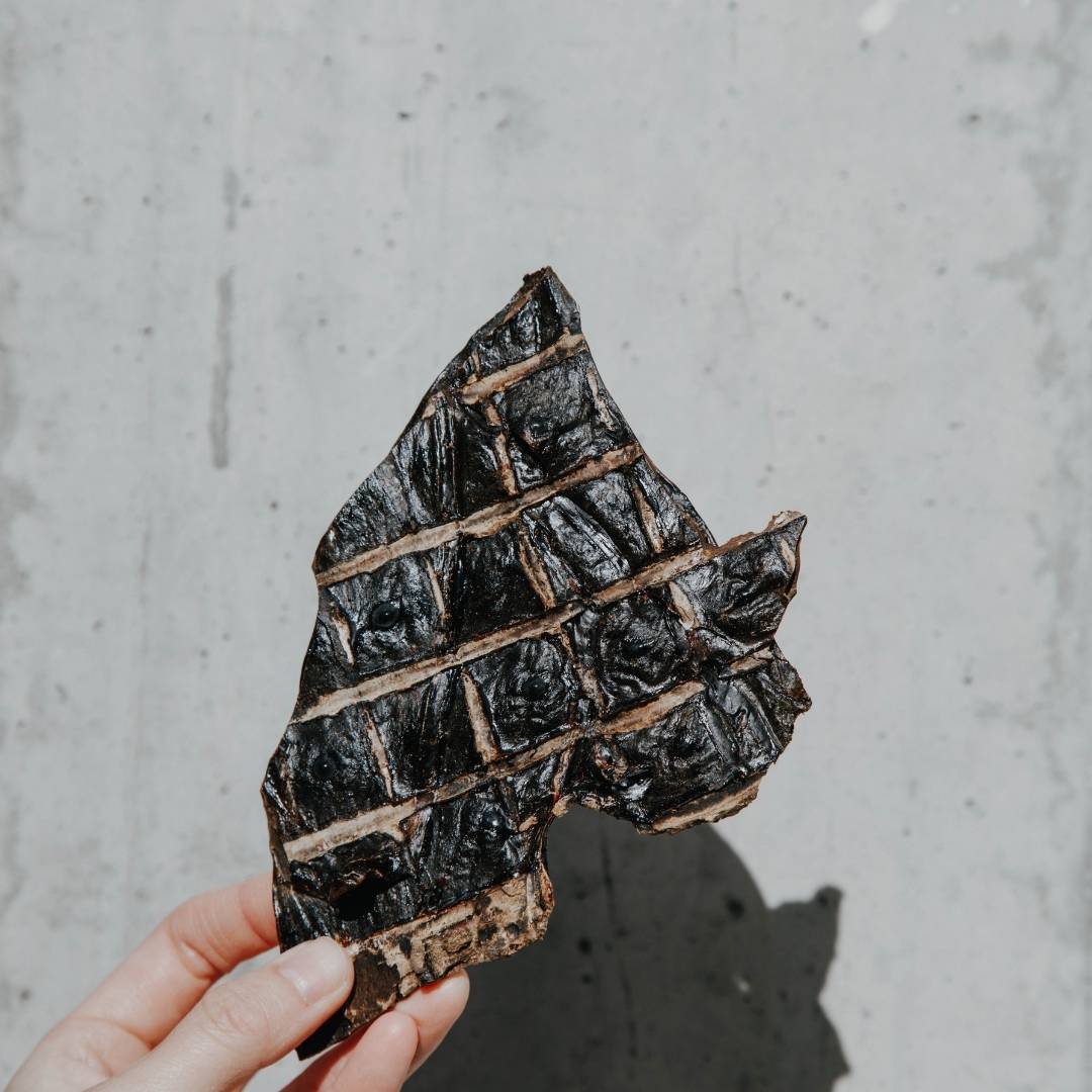 First Time Dog Treats Starter Pack