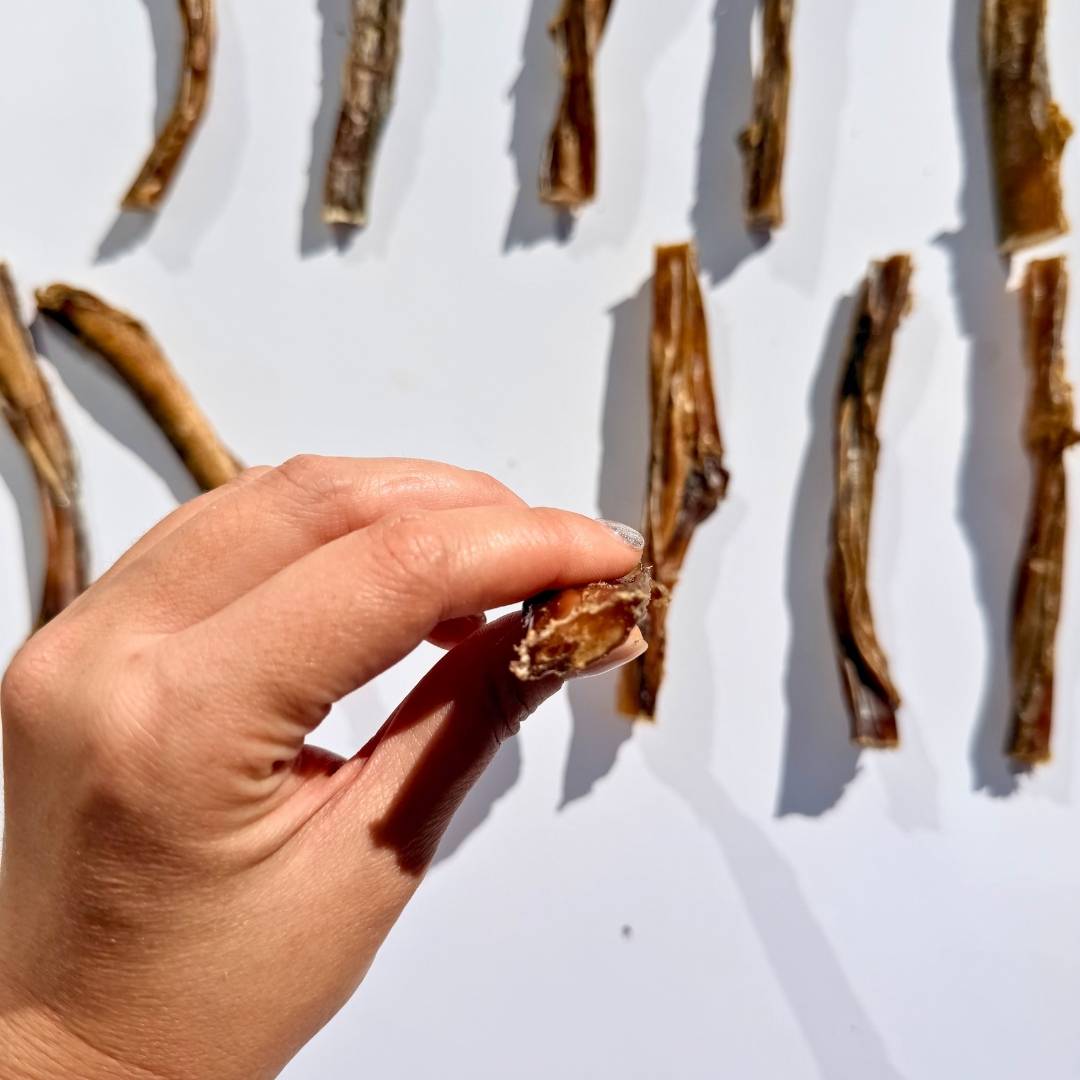 [NEW!] Thin Pizzle Sticks