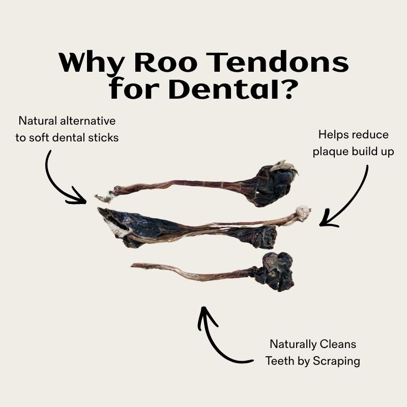 Long Roo Tendons