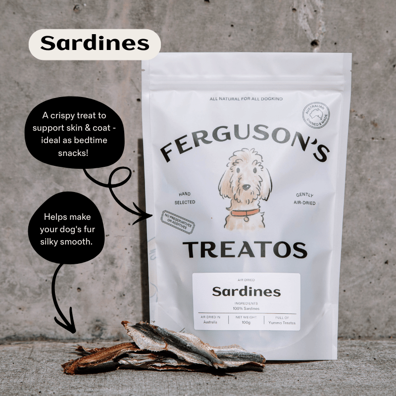 First Time Dog Treats Starter Pack