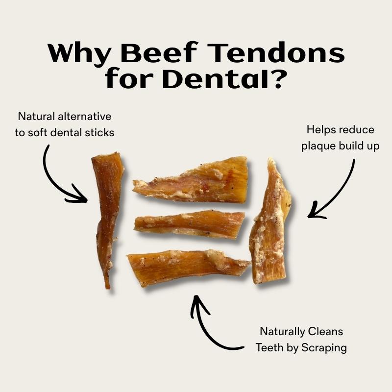 Air Dried Beef Tendons (Paddywacks)