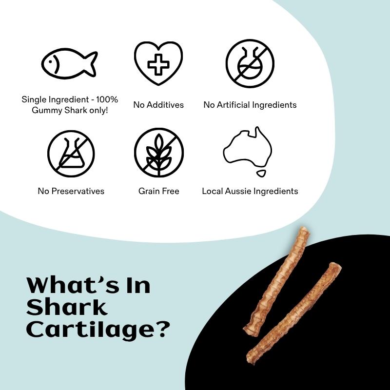 Thin Shark Cartilage Air Dried