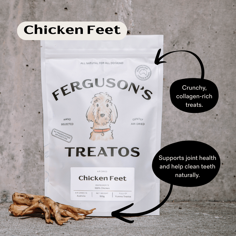 First Time Dog Treats Starter Pack