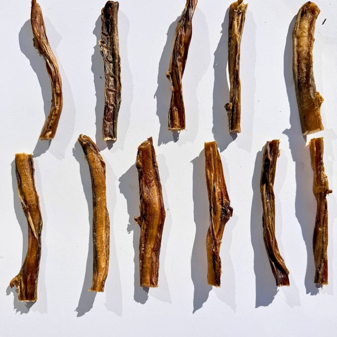 [NEW!] Thin Pizzle Sticks