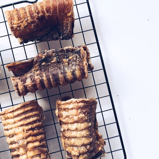 Moo Tubes | Dried Cow Trachea Beef Weasand