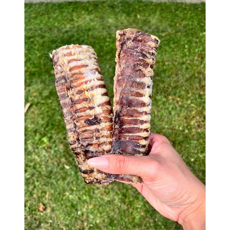 Moo Tubes | Dried Cow Trachea Beef Weasand
