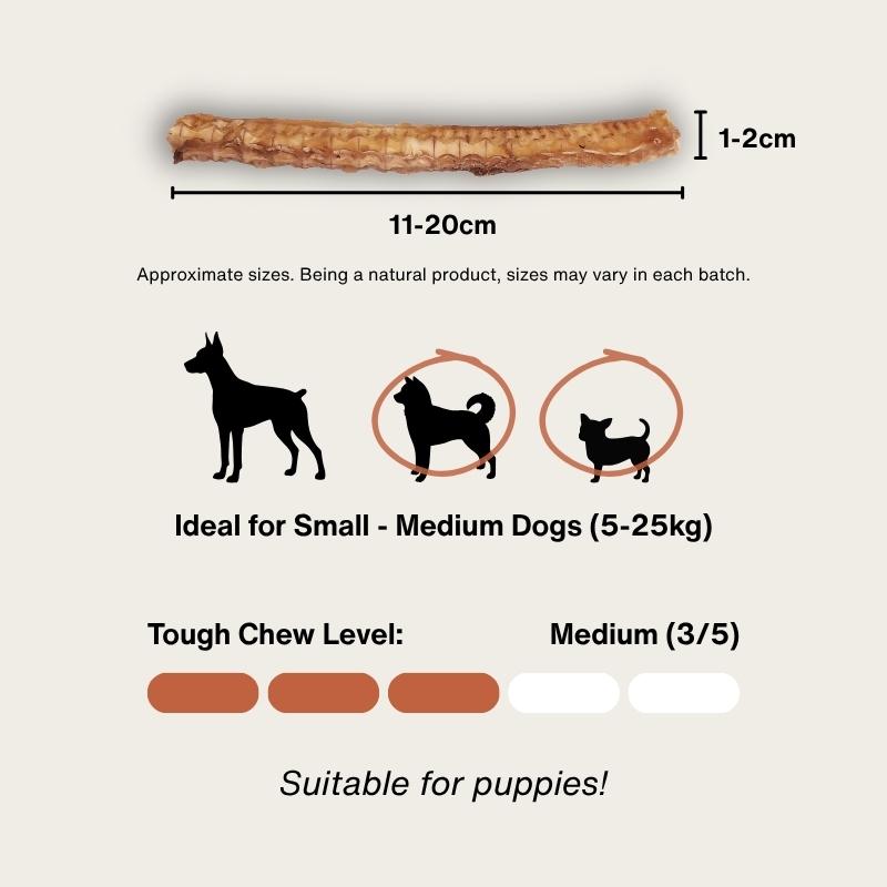 Thin Shark Cartilage Air Dried