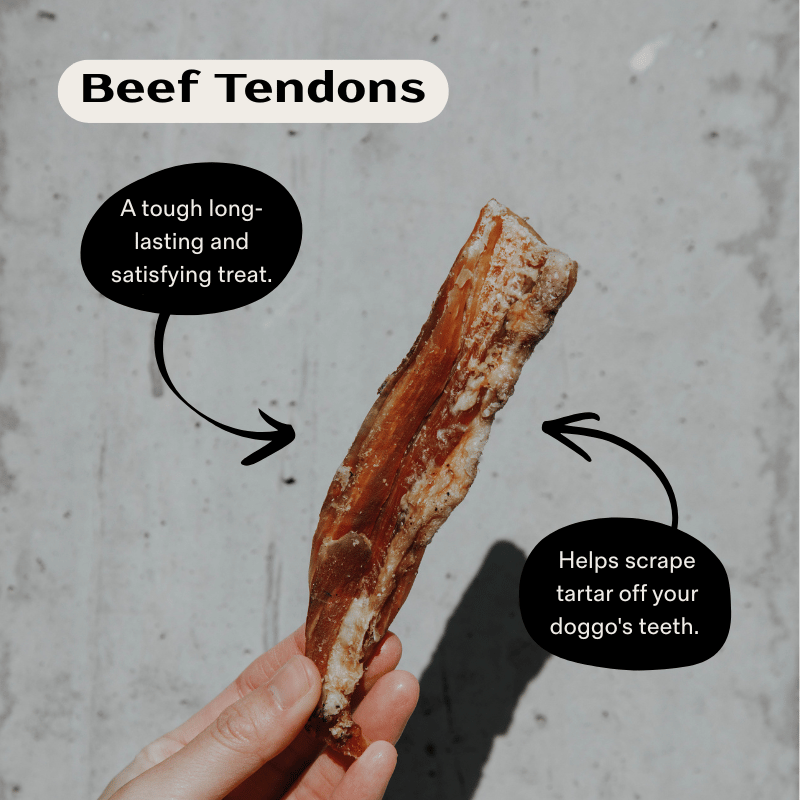 First Time Dog Treats Starter Pack