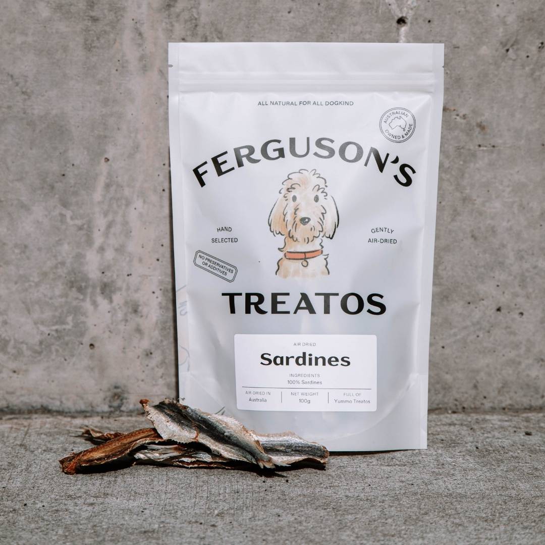 First Time Dog Treats Starter Pack