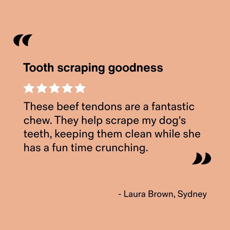 Air Dried Beef Tendons (Paddywacks)