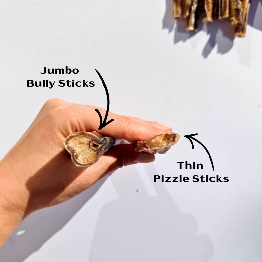 [NEW!] Thin Pizzle Sticks