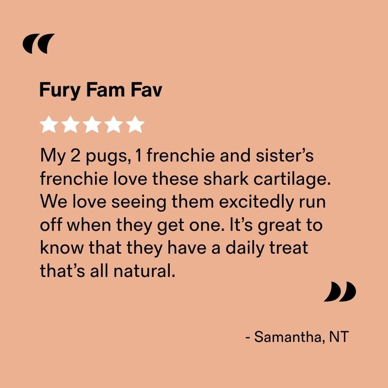 Thin Shark Cartilage Air Dried