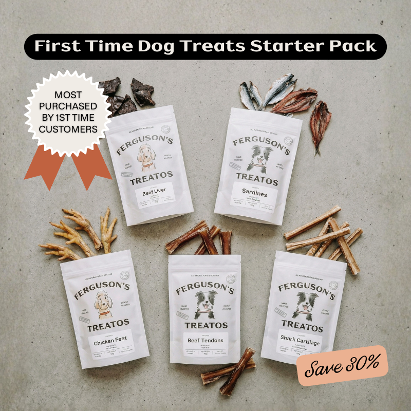 First Time Dog Treats Starter Pack