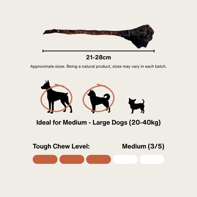 Long Roo Tendons