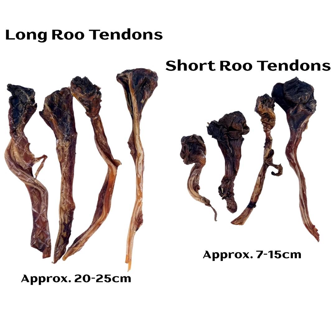 Short Roo Tendons